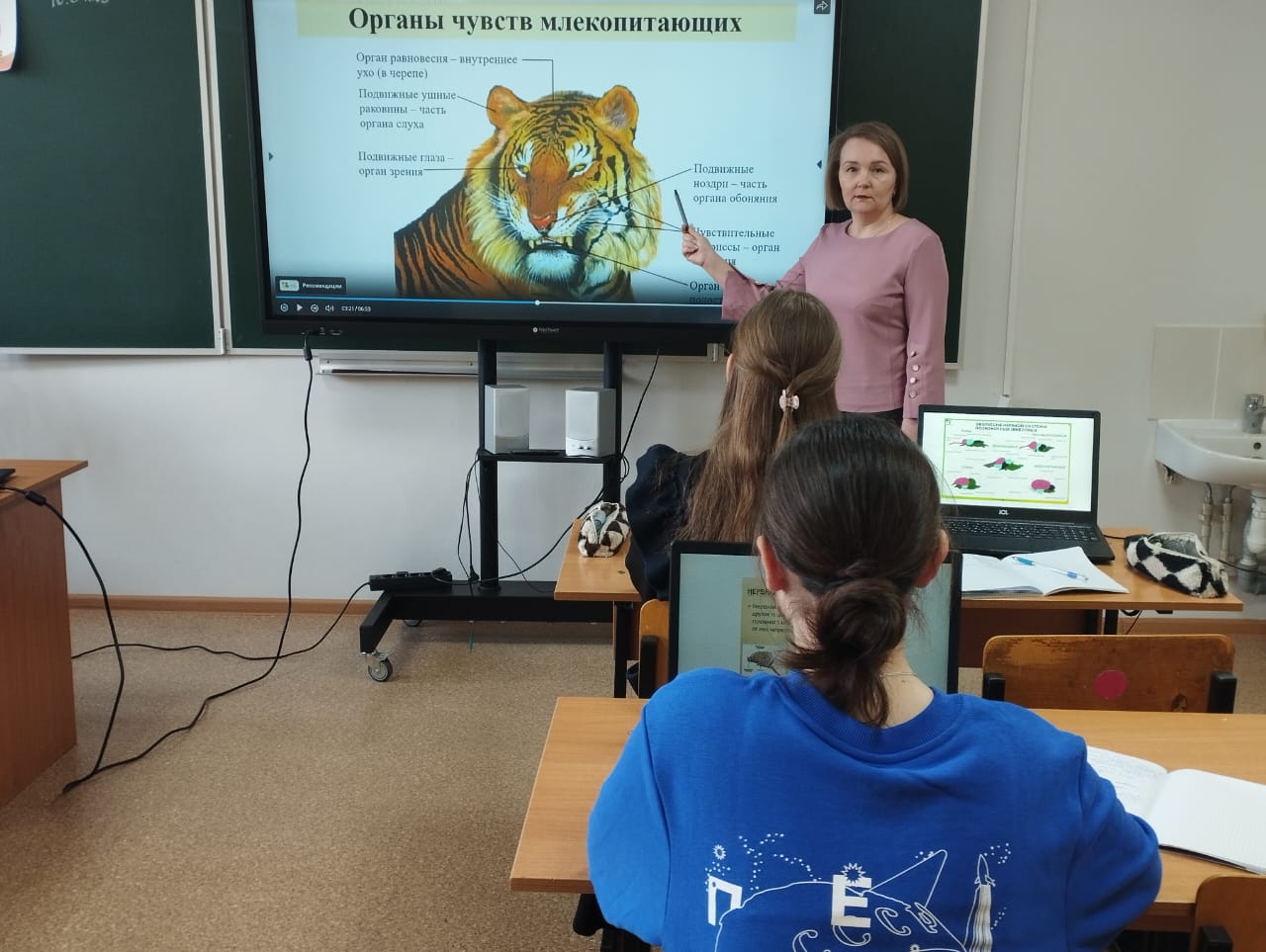 «Изучение ответной реакции животного на раздражение».